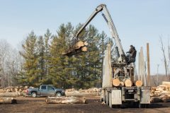 Maple Ridge Hardwoods. Clements Electric: Bay City's preferred electrician.